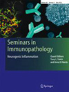 Seminars in Immunopathology杂志封面